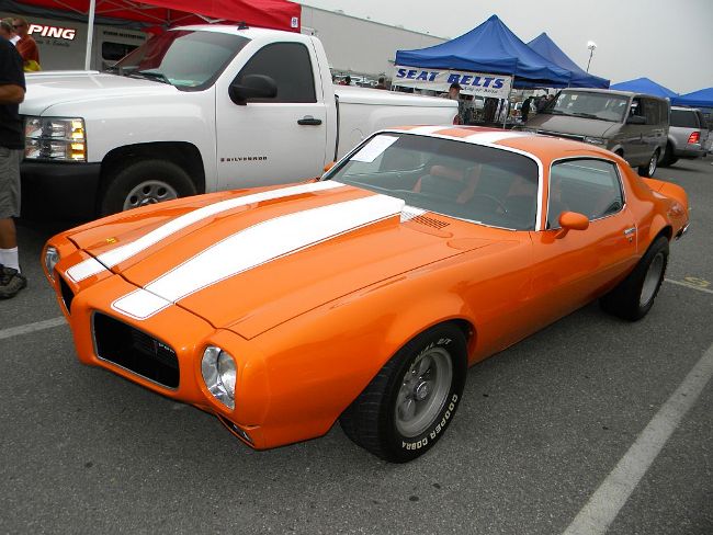 Clean orange 'bird!